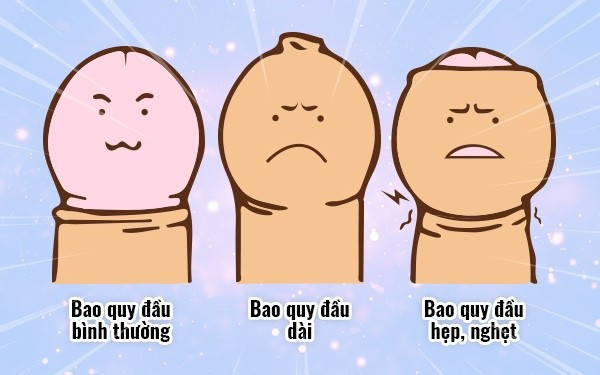 Ảnh minh họa nguồn Internet cac-loai-bao-quy-dau.jpg