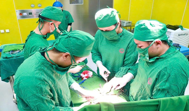 Các bác sĩ thực hiện phẫu thuật cắt u buồng trứng cho cụ bà - Ảnh BVCC u-buong-trung-cu-2.jpg