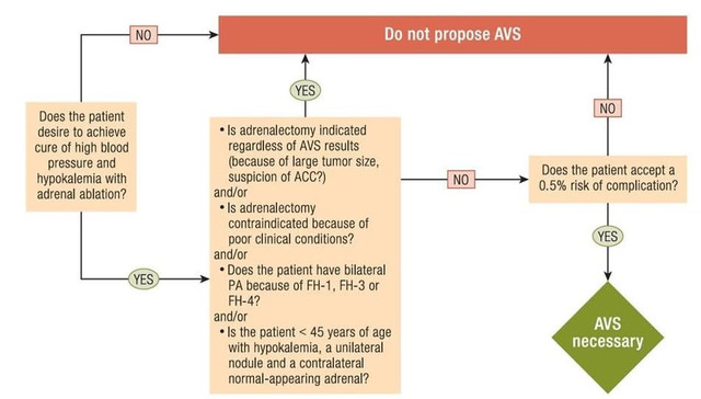 Bệnh nhân cường aldosterone không cần xét nghiệm máu AVS - Ảnh minh họa BSCC anh-1.jpg