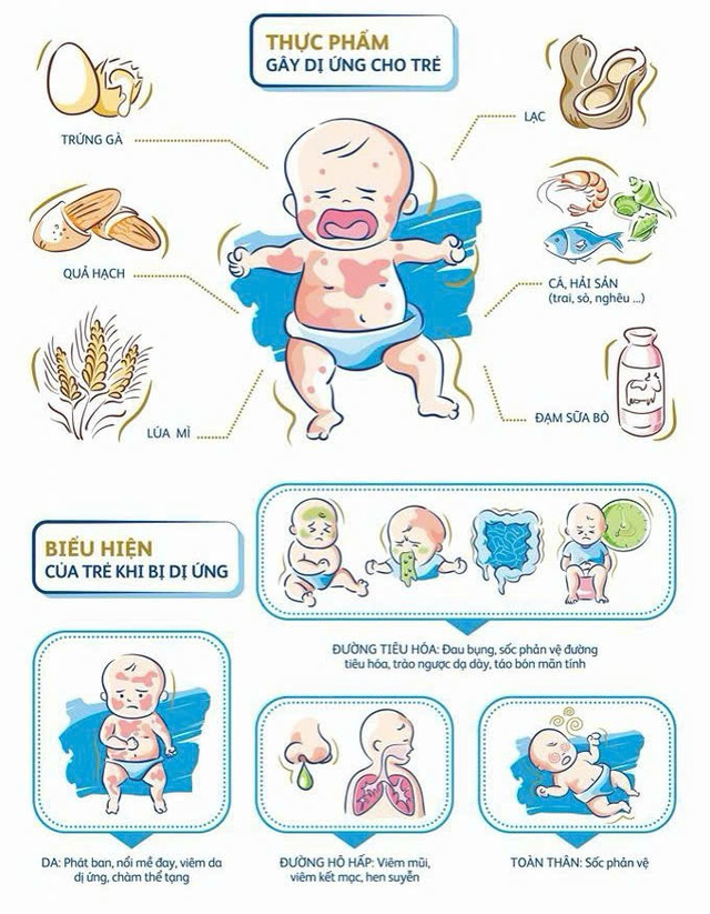 Các thực phẩm dễ gây dị ứng thức ăn - Ảnh BVCC 503813052-741949004825686-2792853781552071858-n.jpg