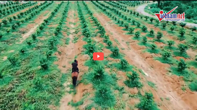 Hình ảnh trang trại rộng mênh mông phục vụ thú vui cưỡi ngựa của trùm giang hồ Vi 'ngộ' và bạn bè trang-trai-vi-ngo-716.jpg