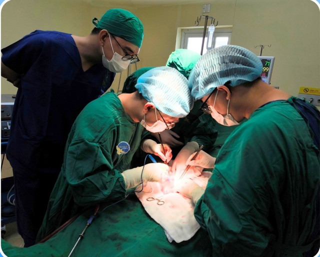 Ca phẫu thuật cho bệnh nhân - Ảnh BVCC ung-thu-duong-vat.jpg