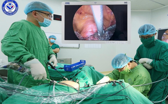 Đính lưới nhân tạo điều trị sa sinh dục tới 30 năm - Ảnh BSCC sa-sinh-duc-1.jpg