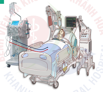 Hạ thân nhiệt chỉ huy để cứu tế bào não - Ảnh BSCC ky-thuat-ha-than-nhiet-chi-huy-1.png