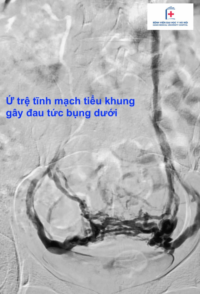 Ảnh BSCC 506287183-1189359819902131-6831978309968155435-n.jpg