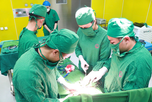 Liên tiếp hai ca phẫu thuật để cứu bệnh nhân - Ảnh BVCC cang-bao-2.jpg