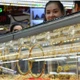 Giá vàng ngày 17/7: Biến động mạnh, nhà đầu tư chờ tin tức