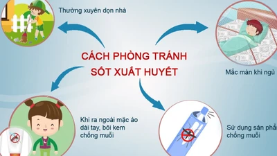 Cà Mau: Ca sốt xuất huyết tăng 200%, ngành y tế khẩn trương phòng dịch