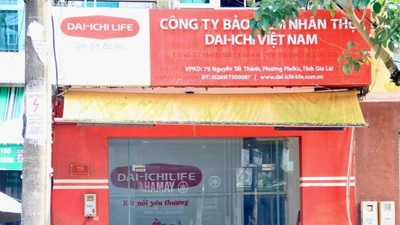 Gia Lai: Nguyên giám đốc đại lý bảo hiểm bị khởi tố hai tội danh