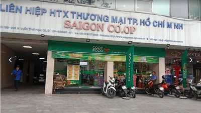 Liên danh King Green – Saigon Co.op gặp khó vì gạo không đạt chuẩn?