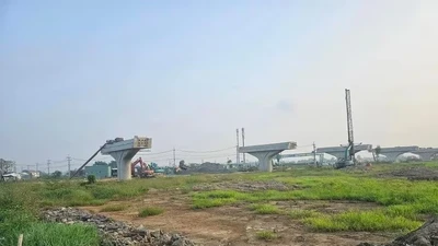 TPHCM: Chủ tịch xã phê duyệt phương án bố trí đất ở trong các nông trường thành khu dân cư