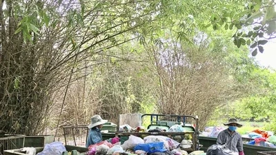 Phường Vũng Tàu khẳng định không tăng giá thu gom rác, mức phí vẫn giữ nguyên