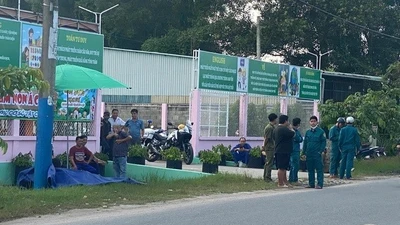 TP HCM: Người phụ nữ tử vong sau cú tông cột điện ở Củ Chi