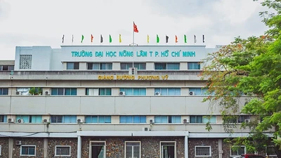 TH – Trường An Sài Gòn “song kiếm” trúng thầu ĐH Nông Lâm TPHCM
