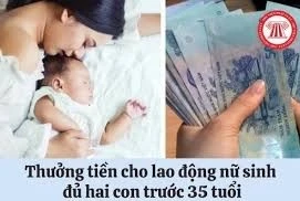 Đồng Nai hỗ trợ 1 triệu đồng cho phụ nữ sinh đủ 2 con trước 35 tuổi