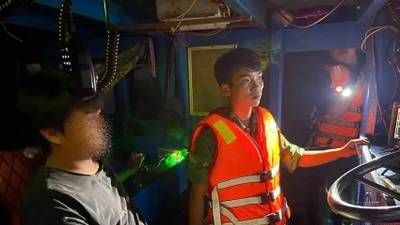 Lâm Đồng: Bắt giữ hai tàu giã cào tận diệt thủy sản trên biển