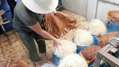 Đắk Lắk: 4 bị cáo trong đường dây sản xuất giá đỗ ngâm hóa chất lãnh án tù