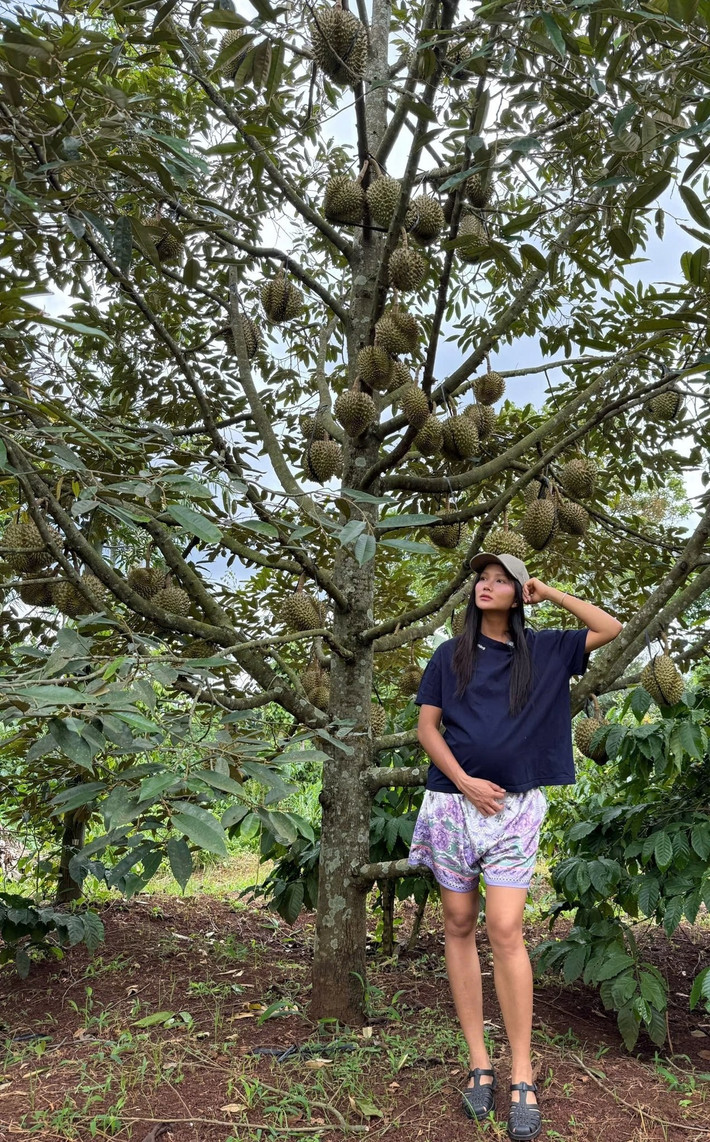 Ngay khi những bức ảnh được đăng tải, nhiều cư dân mạng để lại bình luận bất ngờ, cho rằng "nhìn từ phía sau không có chút dấu hiệu nào là bầu bí". Ảnh: FB H'Hen Niê