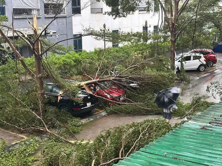 Theo thống kê ban đầu, mưa lũ cũng làm hơn 6.802 nhà tốc mái, hư hại; ngập 28.814 ha lúa; 2.221 ha hoa màu và gãy đổ gần 18.000 cây xanh. Hiện có 6 điểm sạt lở trên các tuyến giao thông nông thôn tập trung ở các tỉnh Thanh Hóa và Quảng Trị, và ngập cục bộ một số tuyến đường giao thông, ngầm tràn 11 vị trí tại tỉnh Thanh Hóa, gây tắc đường và tại 7 xã của tỉnh Quảng Trị...