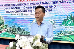 Lào Cai: Thúc đẩy tiếp cận tín dụng xanh trong chuỗi giá trị bảo vệ rừng