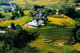 Ngôi làng nhỏ này là nơi sinh sống của đồng bào Dao Đỏ, Giáy và Mông, tựa lưng vào núi cao, quanh năm mây phủ, tạo nên khung cảnh hoang sơ, thanh bình. Đến Tả Phìn, du khách không chỉ được đắm mình trong vẻ đẹp thiên nhiên mà còn có cơ hội tìm hiểu đời sống, văn hóa truyền thống và lưu giữ những trải nghiệm khó quên. Ảnh MIA