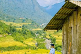Sa Pa mùa lúa chín những góc sống ảo “chất lừ” cho tín đồ mê ảnh