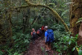 Trekking an toàn cẩm nang không thể thiếu cho người mê khám phá núi rừng