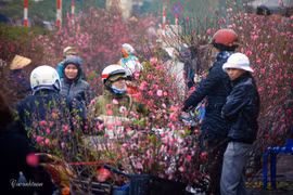5 phiên chợ cuối năm không thể bỏ lỡ khi Hà Nội vào xuân