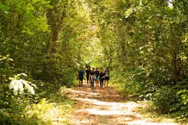 Trekking xuyên rừng Cát Bà, khám phá làng cổ Việt Hải giữa thiên nhiên