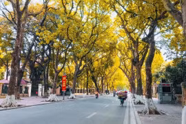 Hà Nội lọt top điểm đến ngắm lá mùa thu đẹp nhất châu Á
