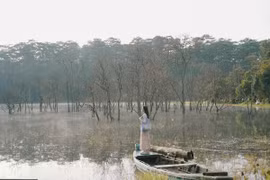 Đến Suối Tía săn sương sớm, đắm mình trong không gian huyền ảo