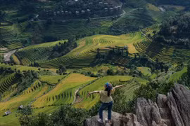 Thưởng ngoạn mùa vàng rực rỡ trên 'sống lưng khủng long' Púng Luông