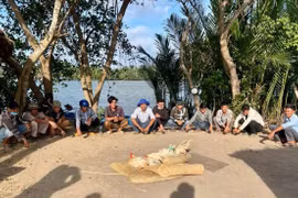 Triệt phá tụ điểm đá gà ăn tiền, bắt giữ 12 đối tượng ở Vĩnh Long