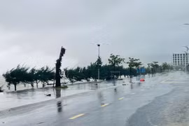 Bão số 5 chưa vào, Hà Tĩnh đã có mưa to, gió lớn