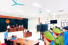 Băng nhóm lừa đảo xuyên quốc gia lĩnh hơn 100 năm tù