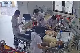 Hai vợ chồng ở Nghệ An bị ong đốt nguy kịch
