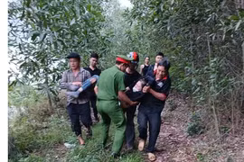 Người phụ nữ bị ong đốt nguy kịch khi đi hái nấm