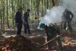 Liên tiếp phát hiện 5 hài cốt liệt sĩ ở Quảng Trị