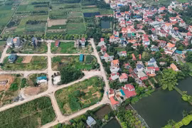Ninh Bình sắp đấu 81 lô đất, khởi điểm gần 488 triệu đồng/lô