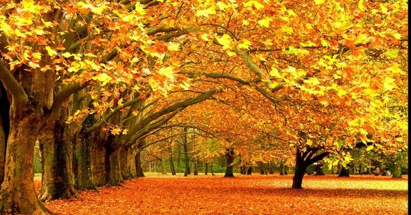 Tháng cô hồn kết thúc suôn sẻ, 3 con giáp kiếm tiền tốt