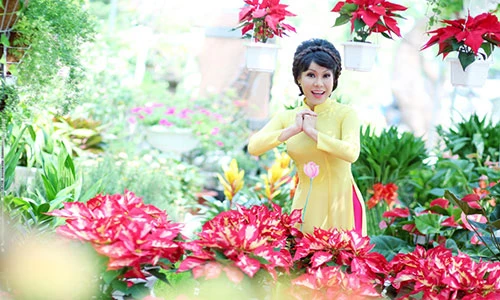 Việt Hương dịu dàng với áo dài chúc Tết Bính Thân 2016