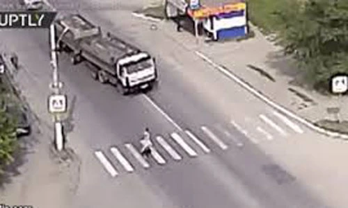 Video: Chú chó cứu chủ khỏi tay tử thần một cách ngoạn mục