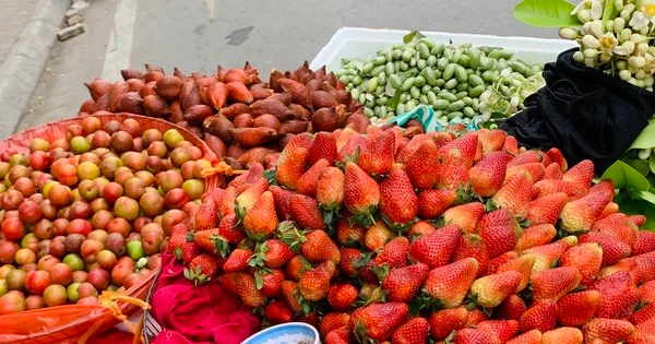 Hoa quả đặc sản tưởng rẻ hóa đắt, loại đắt lại rẻ không tưởng