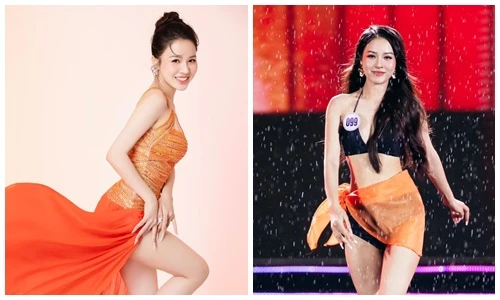 Sắc vóc mỹ nhân Việt đoạt danh hiệu Á hậu Miss Globe 2024