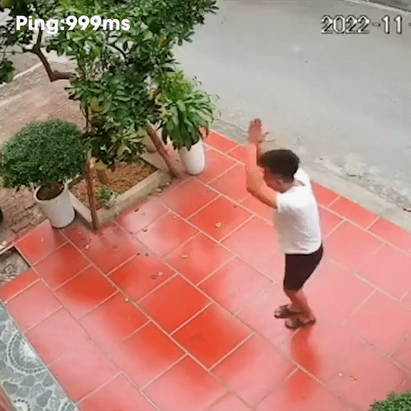 Thanh nien hai trom qua, gia chu thoai mai tha thu vi hanh dong nay