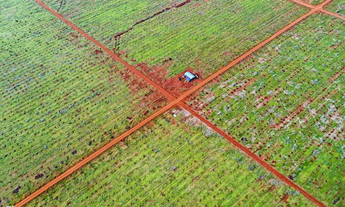 Phát hiện nhiều bom mìn tại mặt bằng sân bay Long Thành