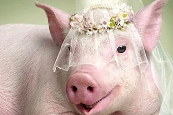 Từ tháng 3/2022: 3 con giáp đổi đời đại gia, tiền tiêu mãi không hết 