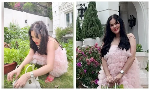 Phương Lê dùng túi hiệu 400 triệu đựng rau 