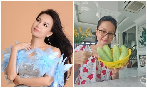 Cuộc sống sau ánh hào quang của Cẩm Ly