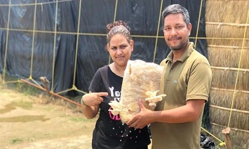 Mất việc do Covid-19, người đàn ông này vẫn kiếm 80 triệu/tháng